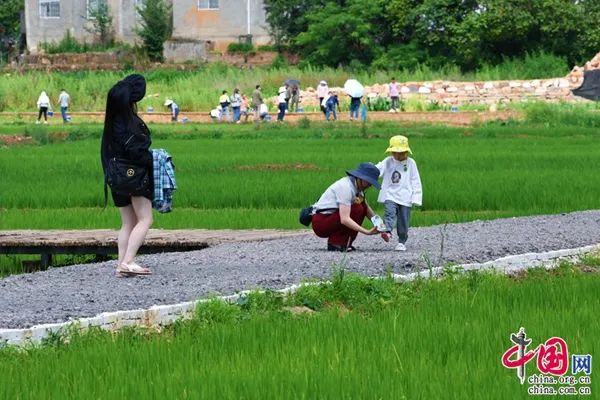 昆明文旅