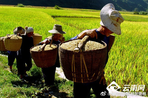 昆明国家高新区发布