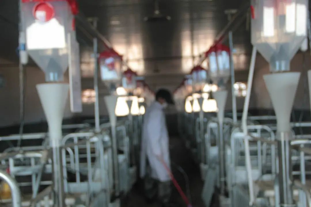 悦读嵩明