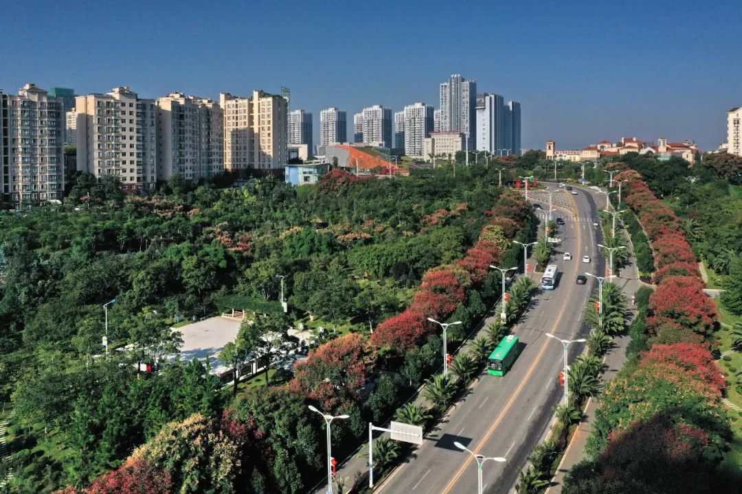 云南省人民政府网