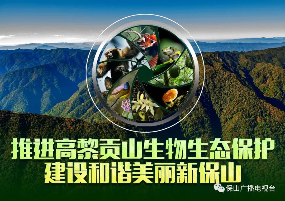 保山广播电视台