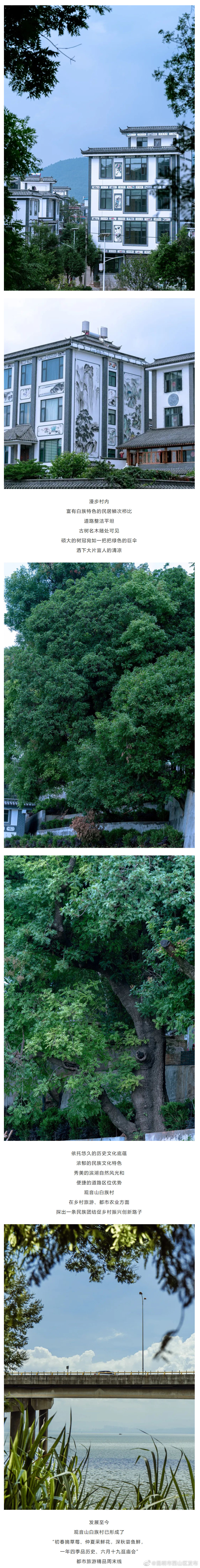 昆明市西山区发布