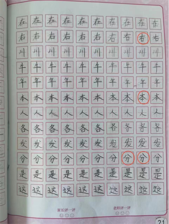 盘龙教育(微信)