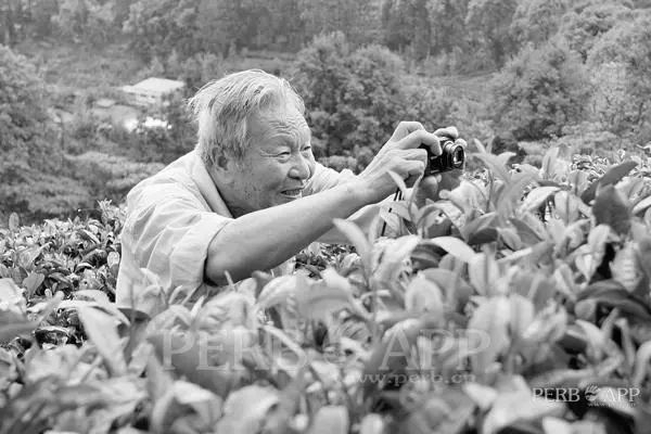 普洱日报