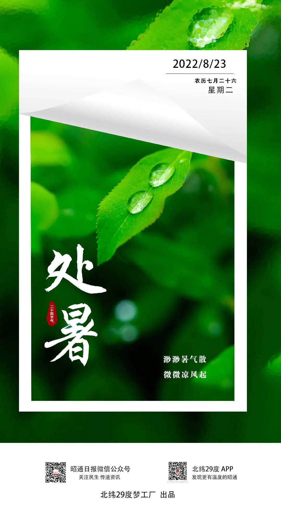 昭通日报