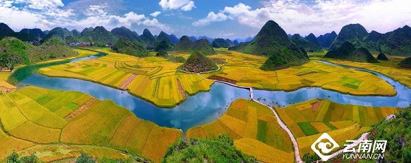 云南省文化和旅游厅