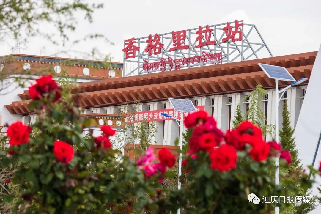 迪庆日报传媒