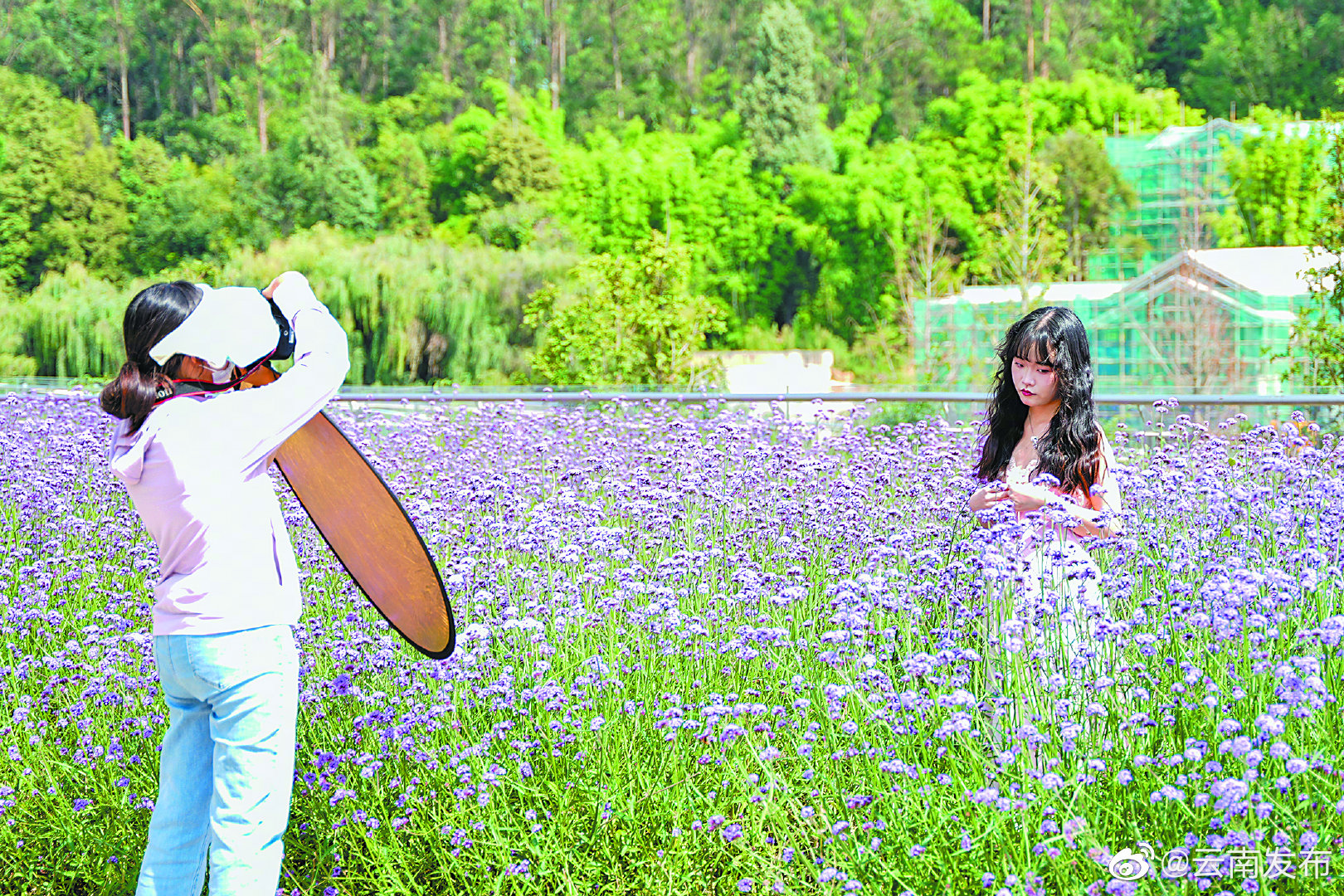 “云南发布”微博