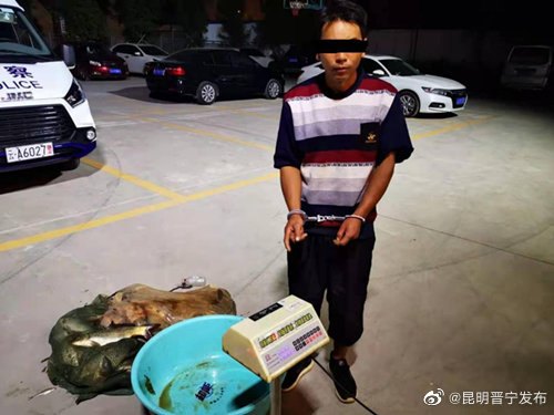 昆明晋宁发布