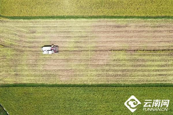 云南省文化和旅游厅