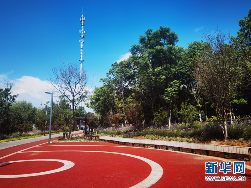 新华网云南频道