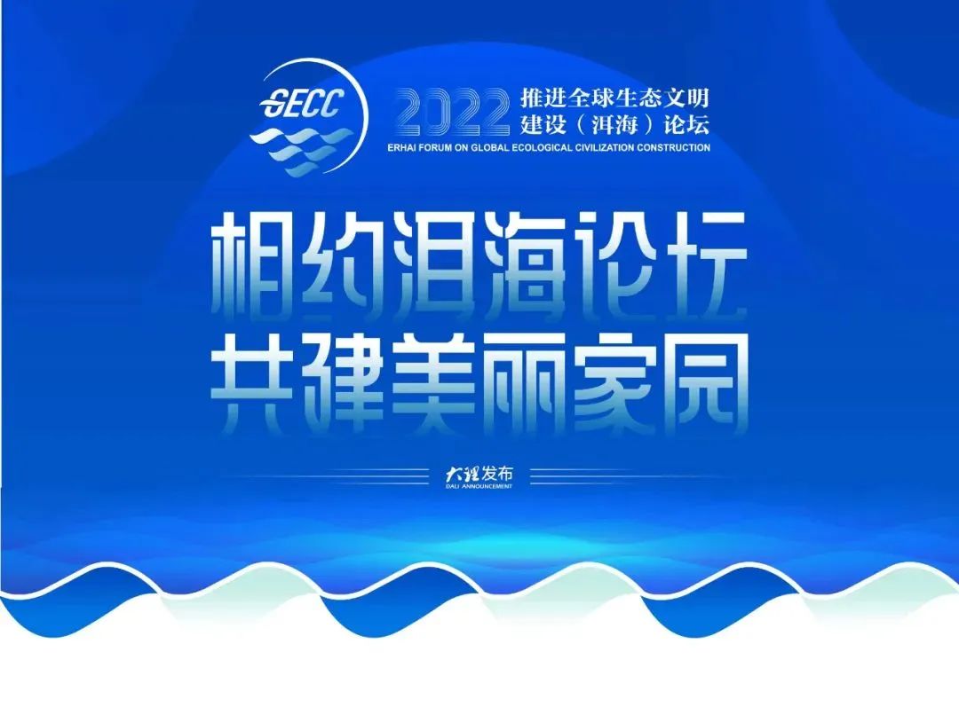 大理日报