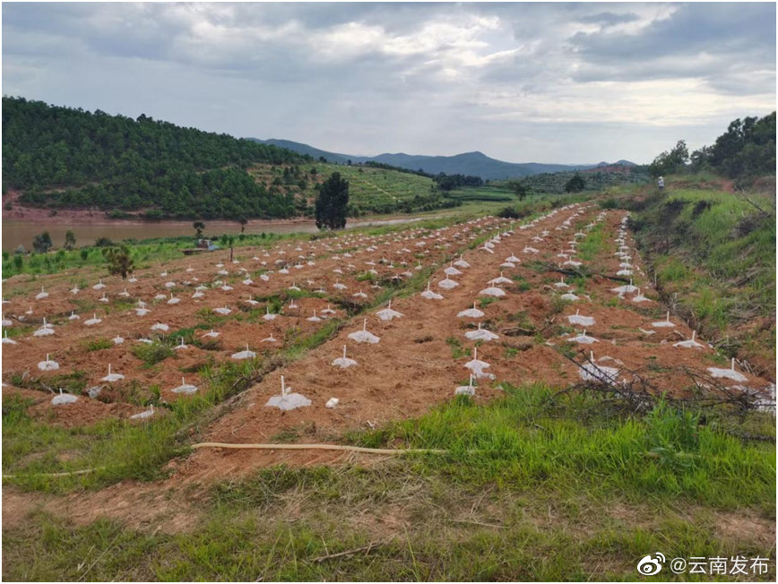 “云南发布”微博