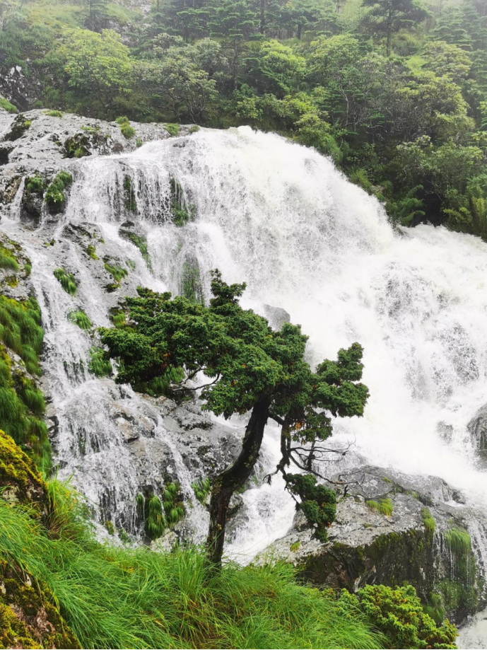 昆明轿子山旅游
