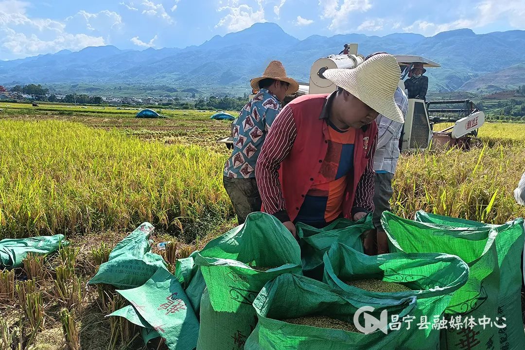 保山新闻网