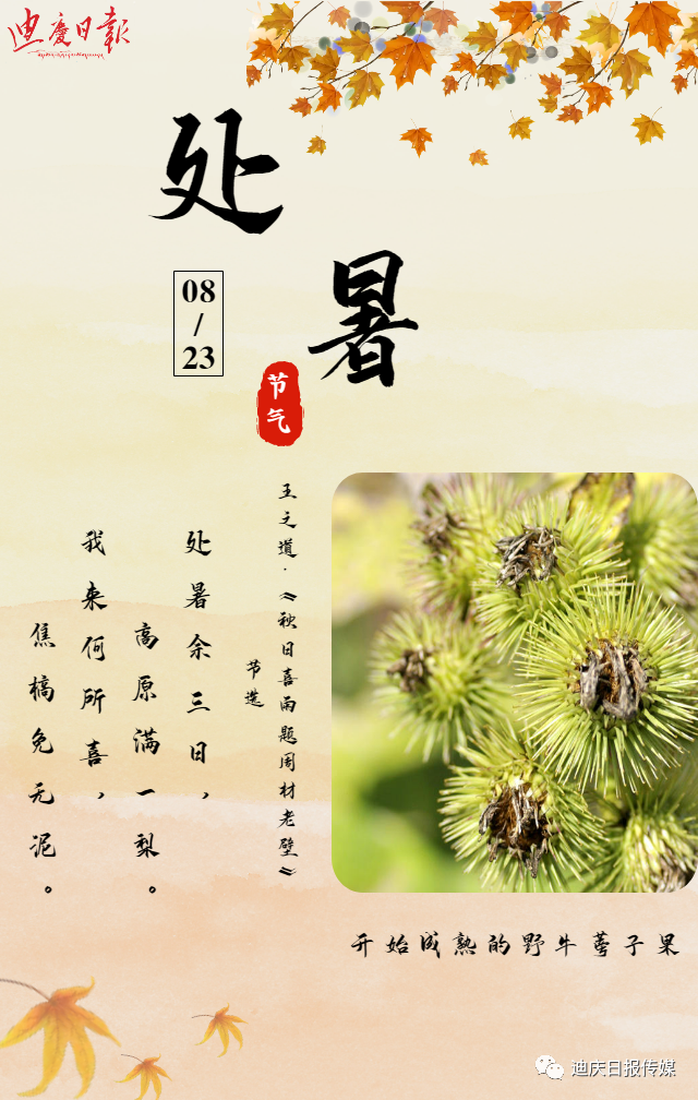 迪庆日报传媒
