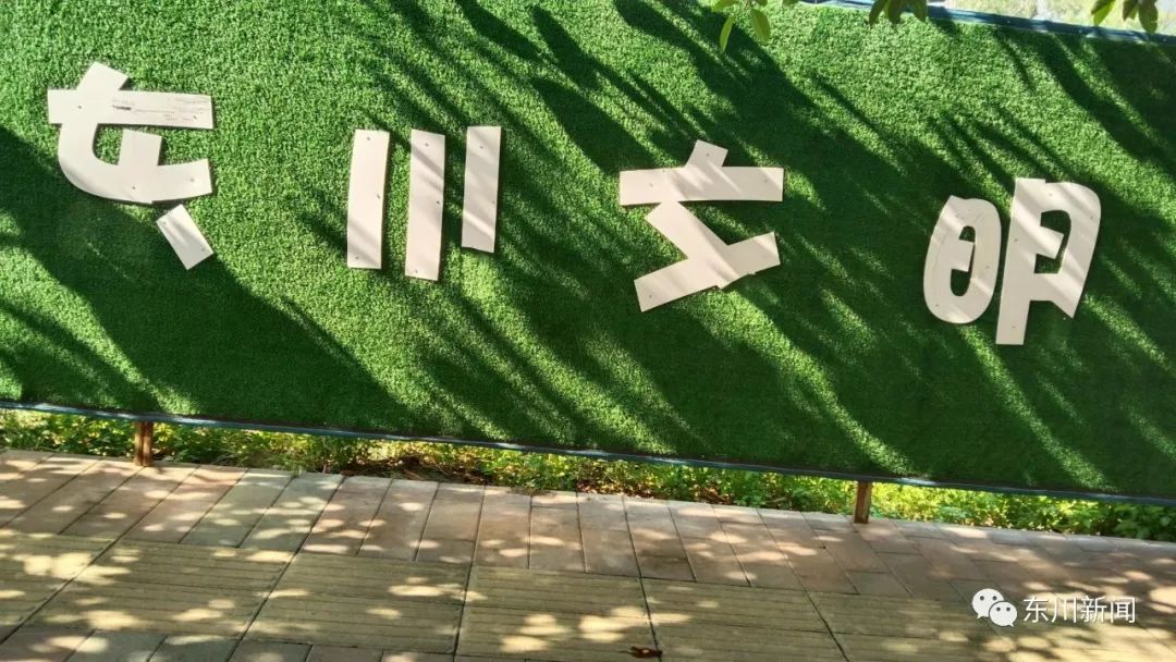 东川新闻