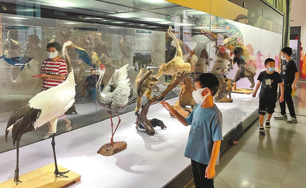 云南省文化和旅游厅