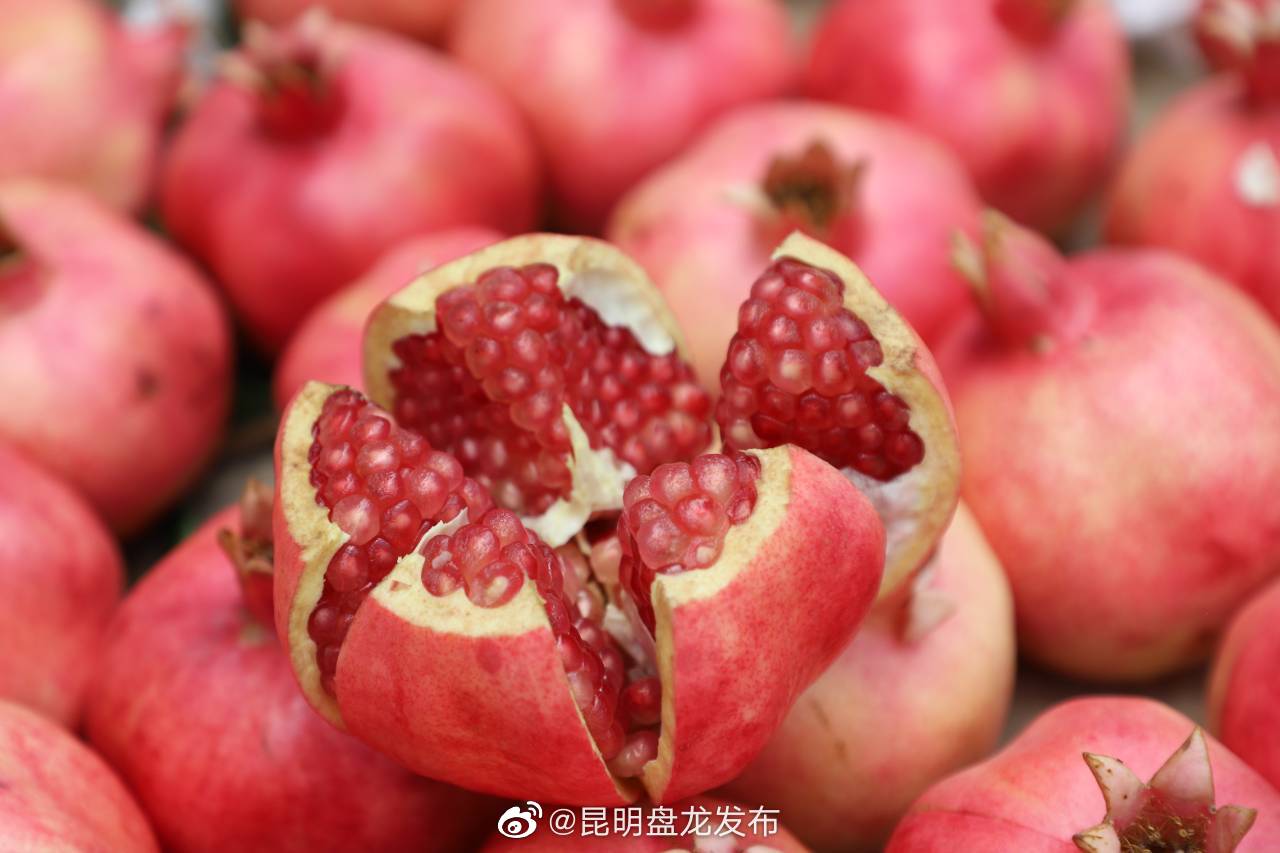 昆明盘龙发布