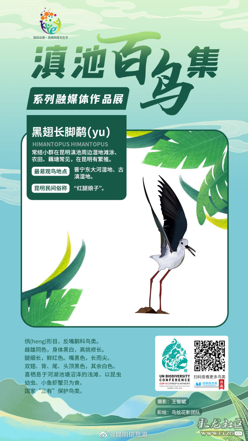 昆明信息港