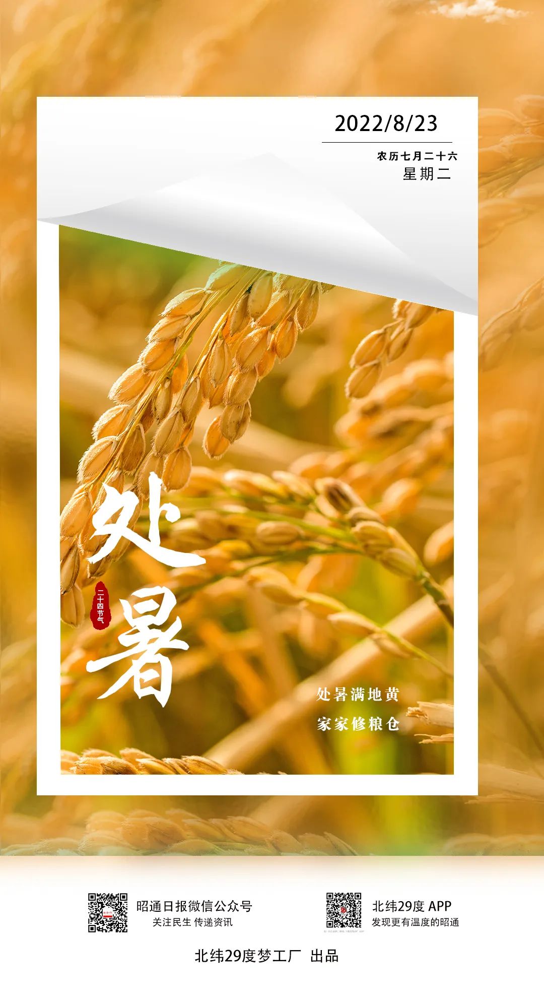 昭通日报