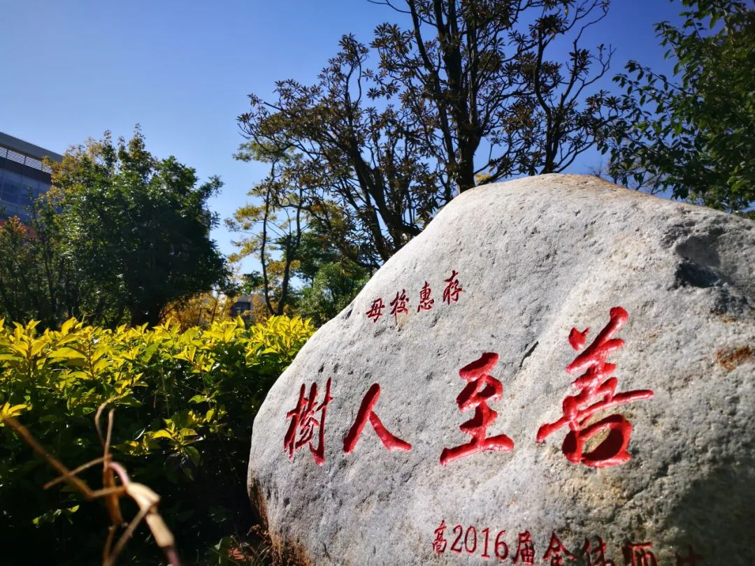 微观盘龙
