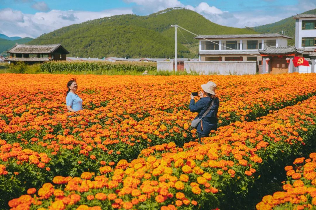 云南省文化和旅游厅