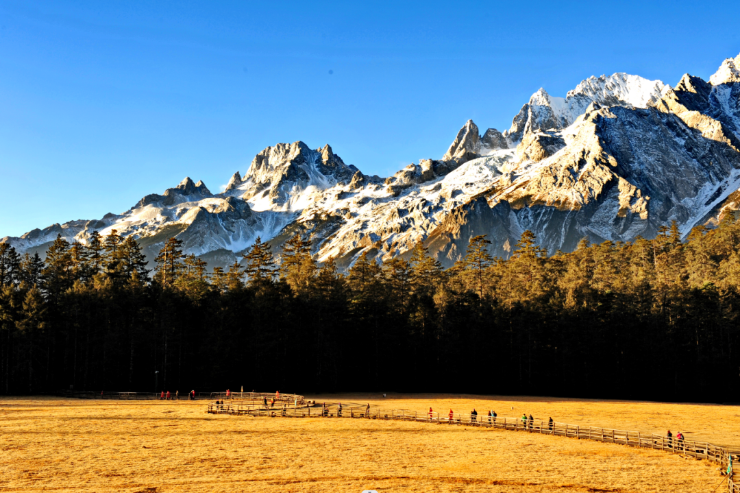 云南省文化和旅游厅