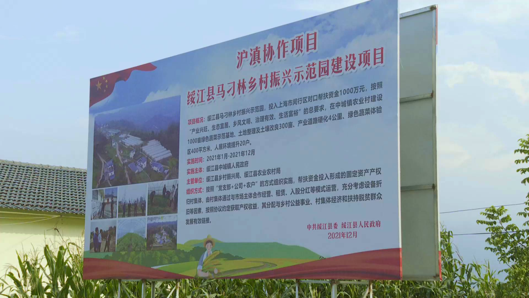 红色扎西