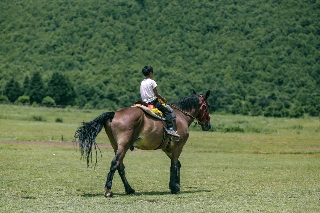 云南省文化和旅游厅