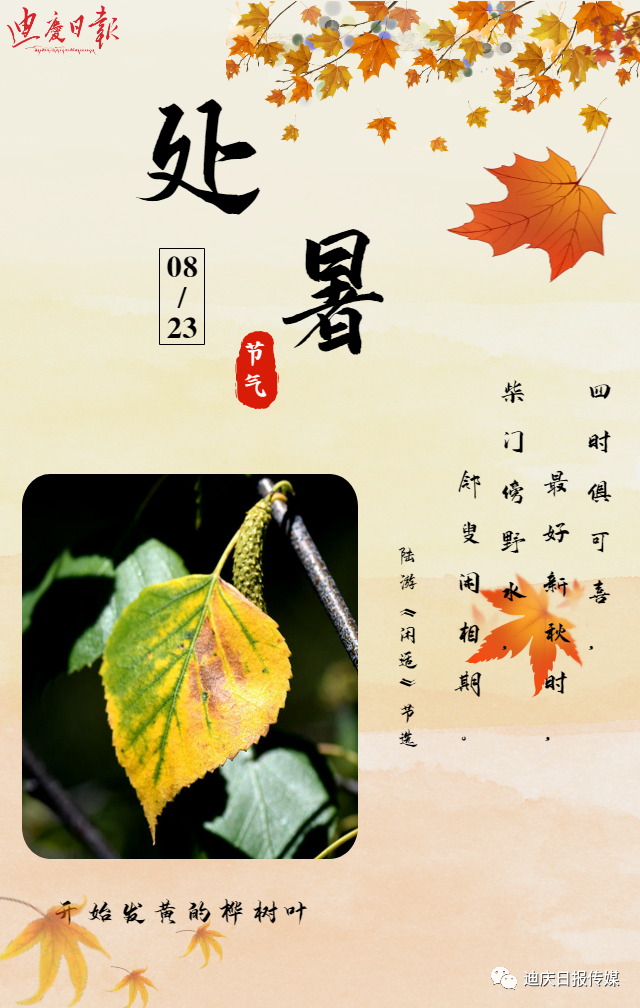 迪庆日报传媒