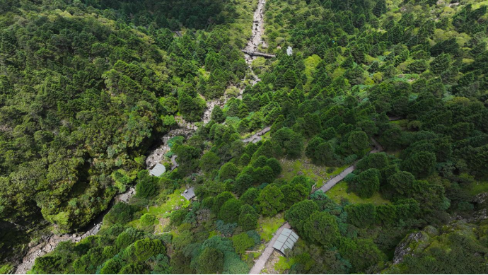 昆明轿子山旅游