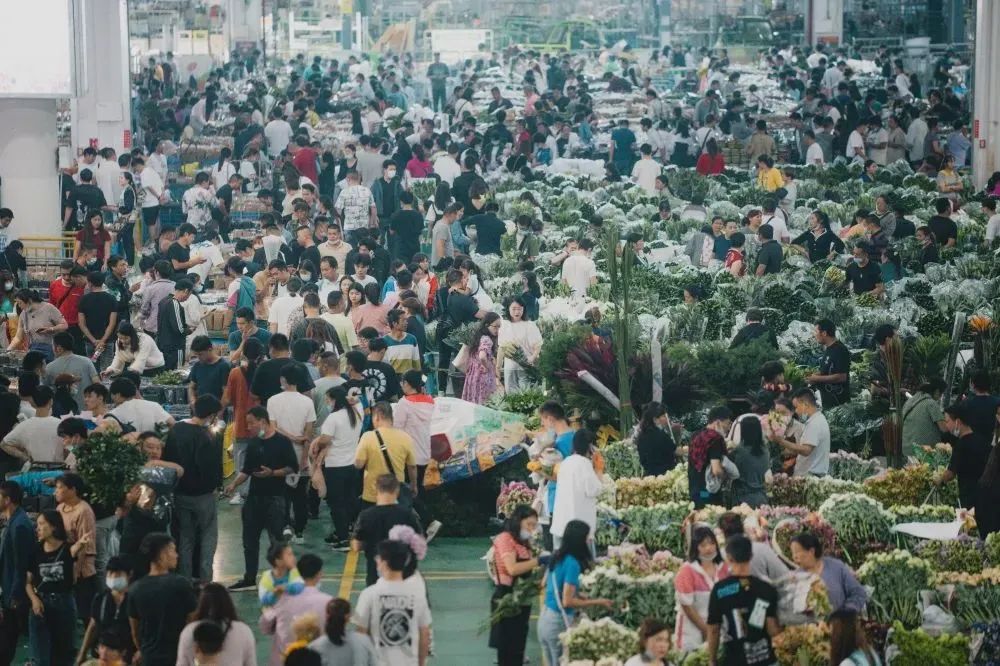 昆明发布