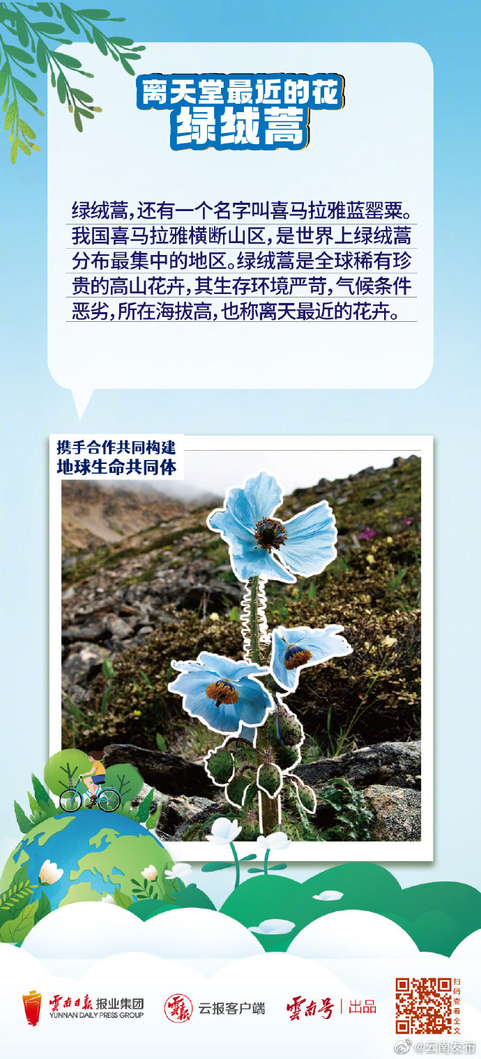 “云南发布”微博