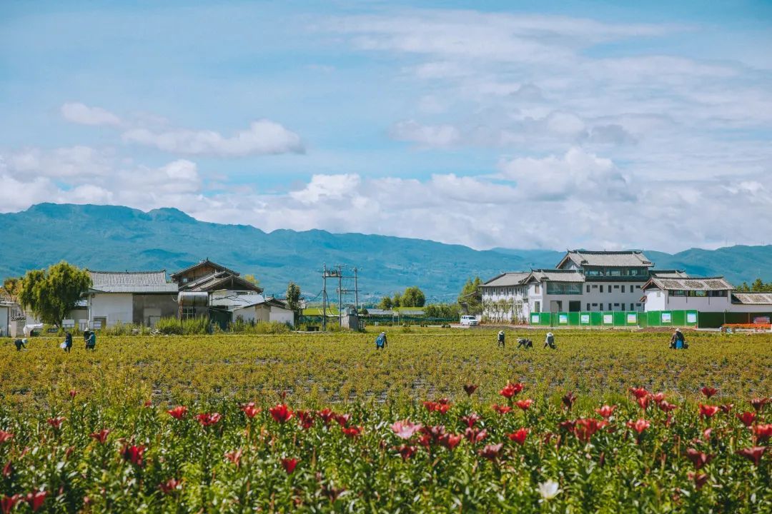 云南省文化和旅游厅