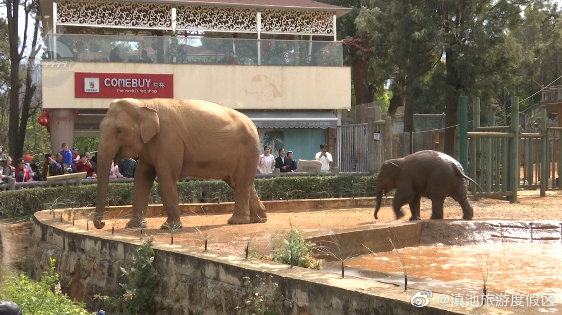 “滇池旅游度假区”微博