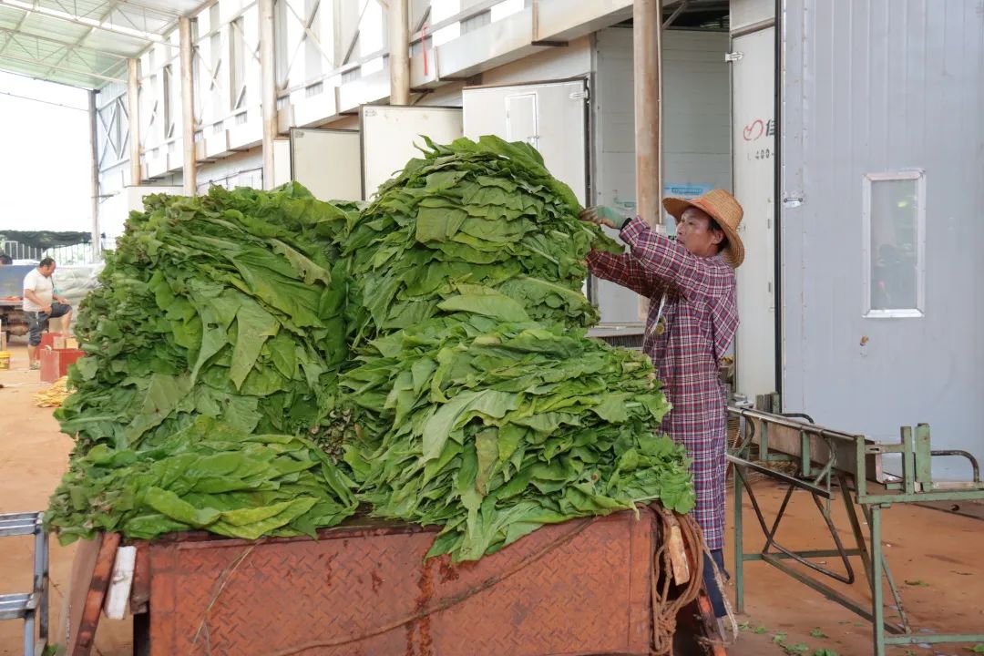 悦读嵩明