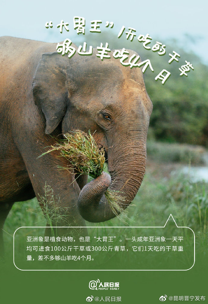 昆明晋宁发布