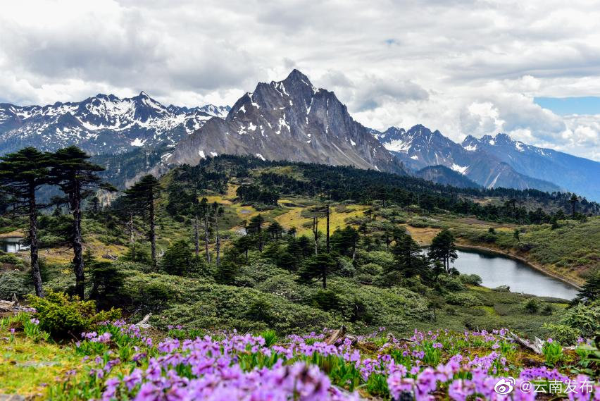“我是云南的，云南怒江的”！看怒江州打造世界级高山峡谷旅游胜地