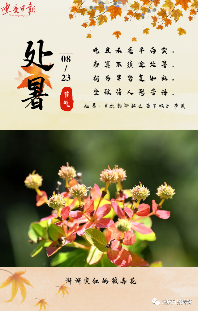 迪庆日报传媒