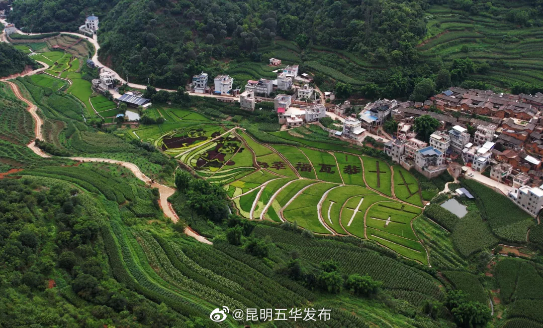 “昆明五华发布”微博