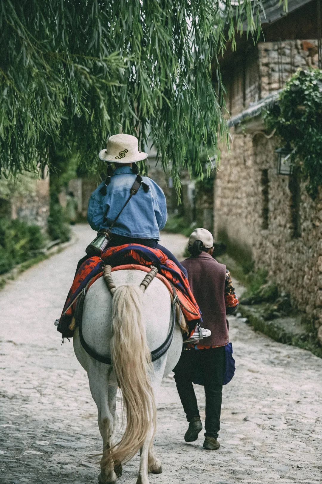 云南省文化和旅游厅