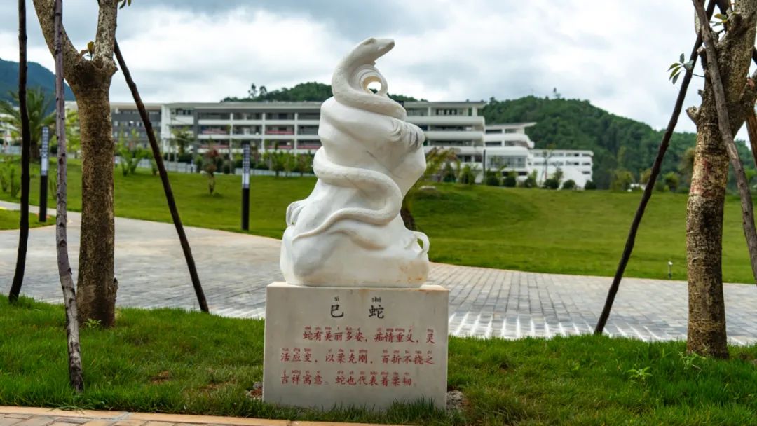 丽江日报