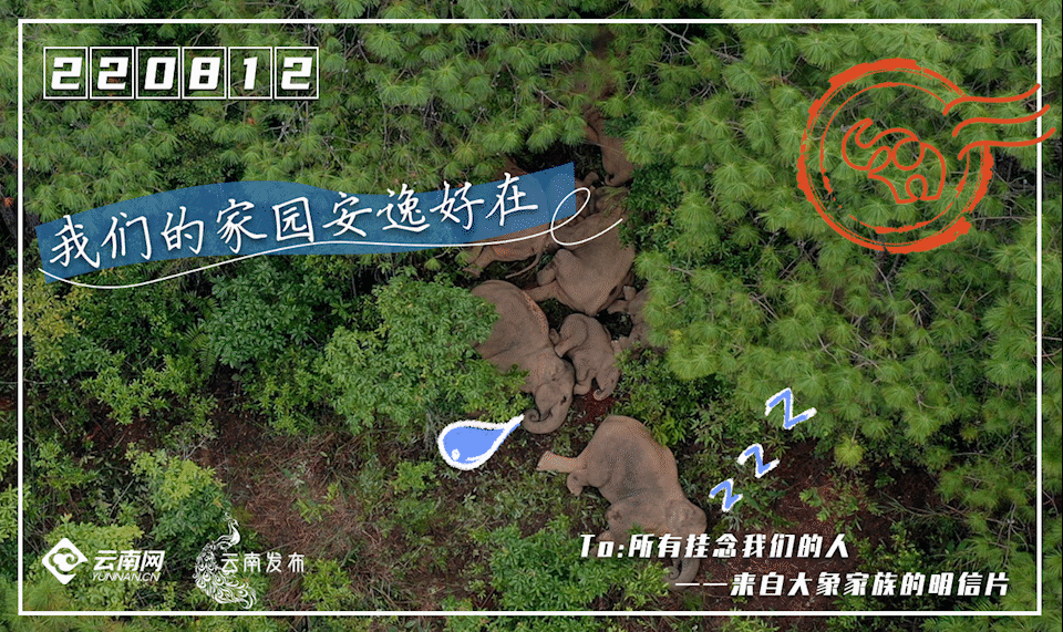 一部手机游云南