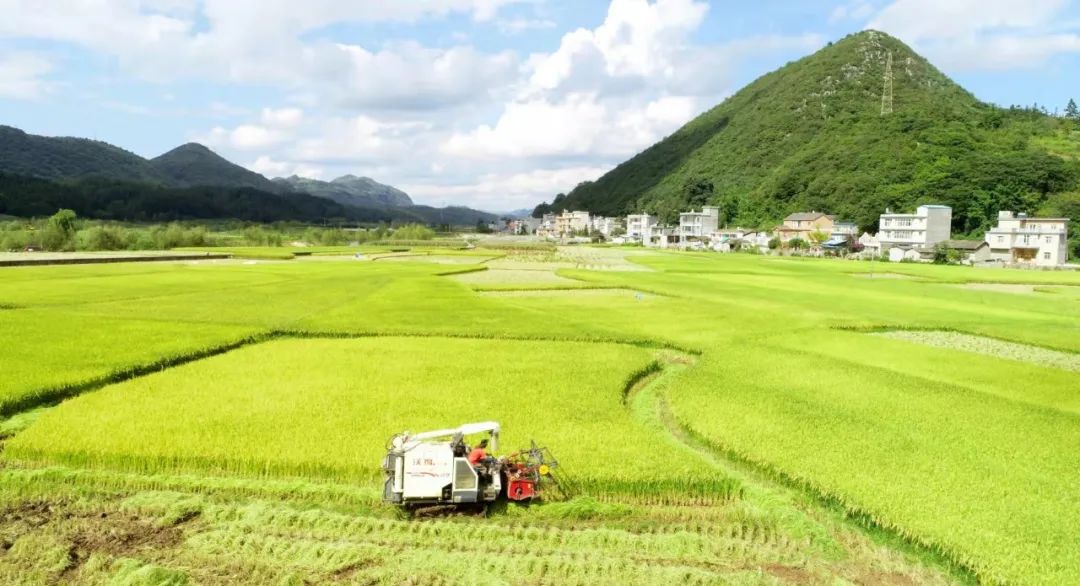 云南省人民政府网