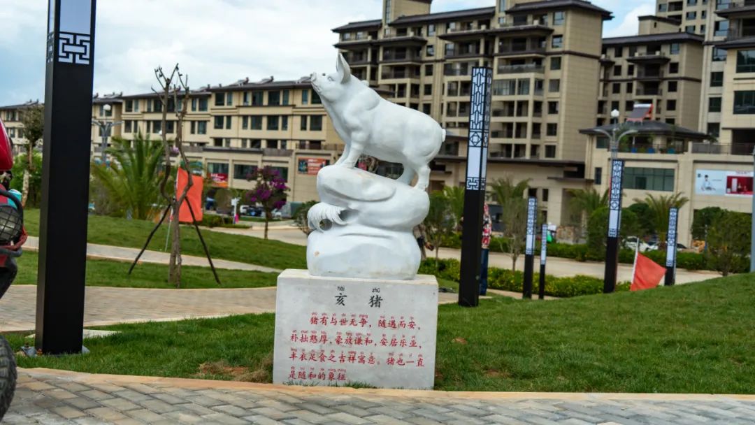 丽江日报