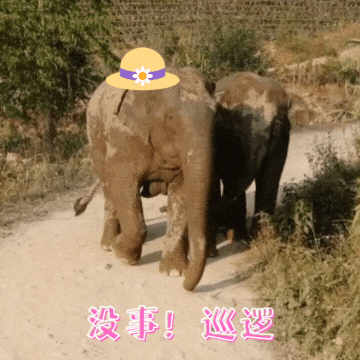 普洱日报