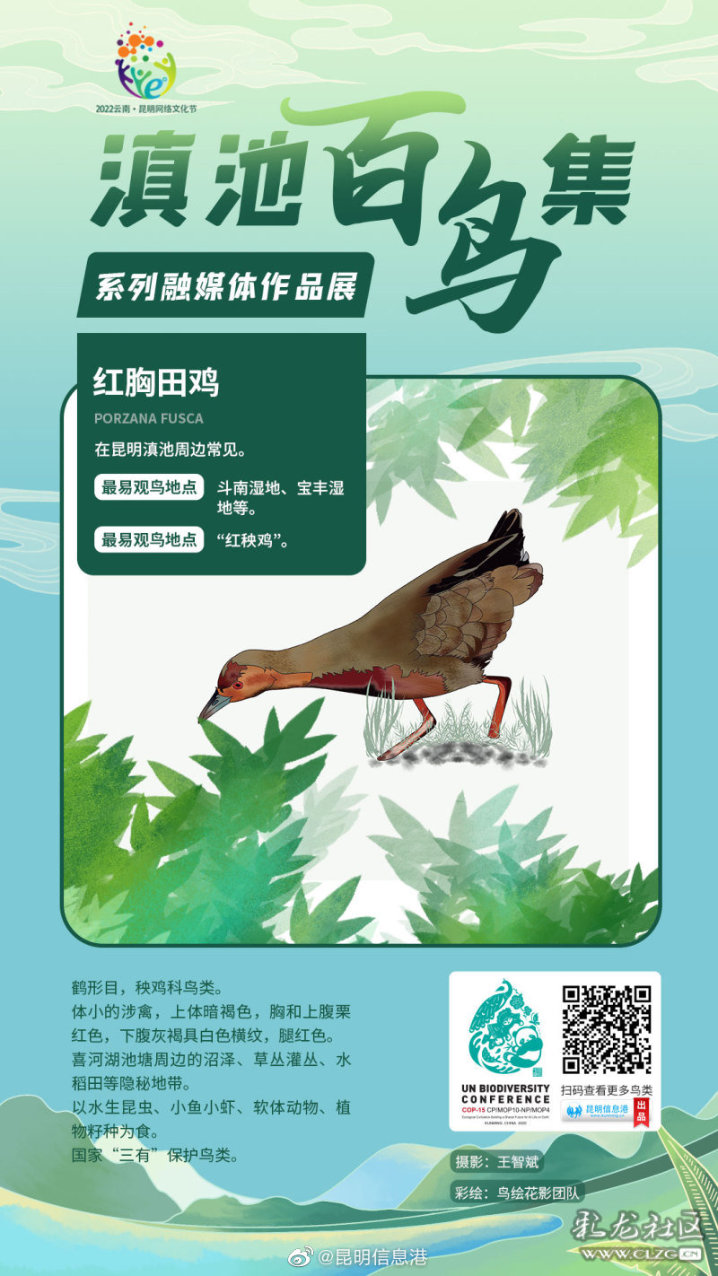 昆明信息港