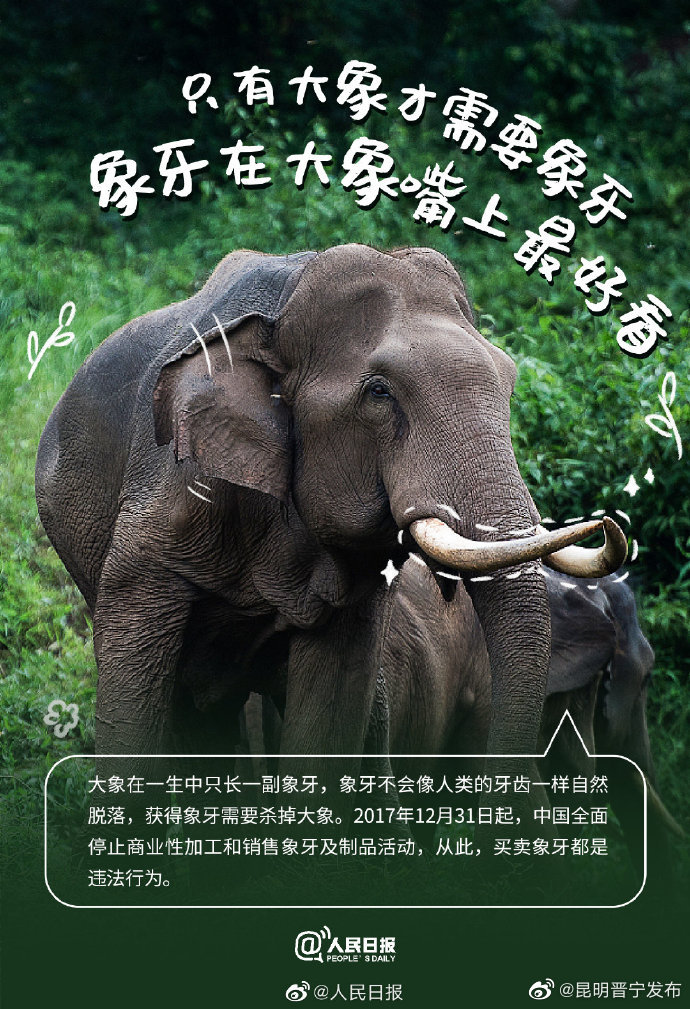昆明晋宁发布