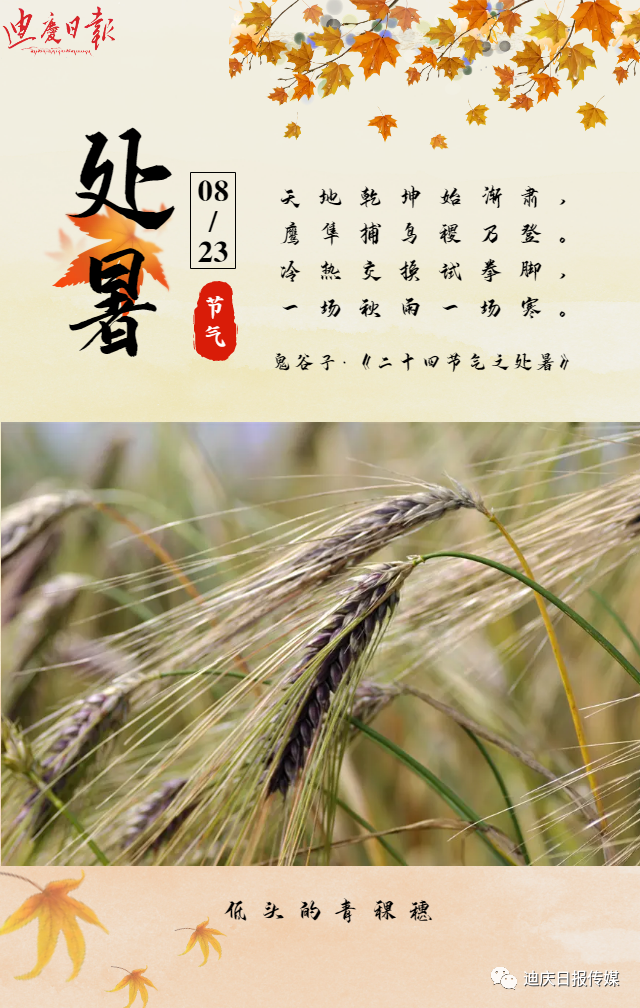 迪庆日报传媒